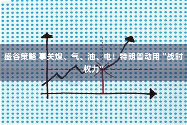 盛谷策略 事关煤、气、油、电！特朗普动用“战时权力”