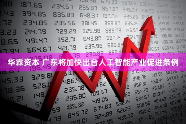 华霖资本 广东将加快出台人工智能产业促进条例