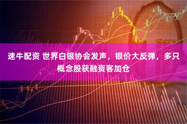 速牛配资 世界白银协会发声，银价大反弹，多只概念股获融资客加仓