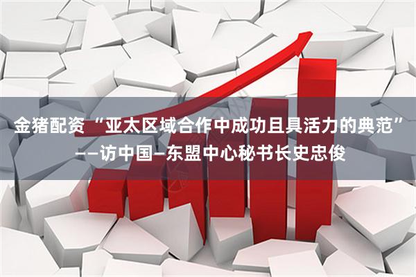 金猪配资 “亚太区域合作中成功且具活力的典范” ——访中国—东盟中心秘书长史忠俊