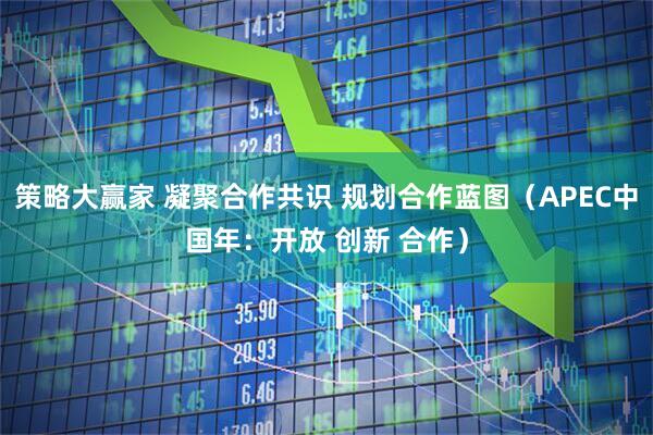 策略大赢家 凝聚合作共识 规划合作蓝图（APEC中国年：开放 创新 合作）